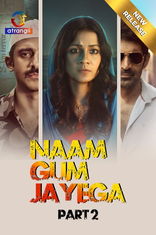 Naam Gum Jayega (2024) S01 Part 2 